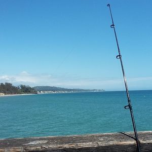 Meet your Posher, Joshua